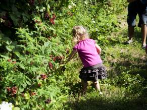 Fun Summer Activities for the Kids in Loudoun