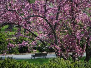 Best Spring Events in Loudoun