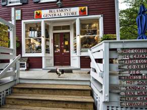 The 6 Best Ways to Explore Bluemont!