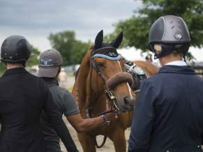 Horsing Around in Loudoun County