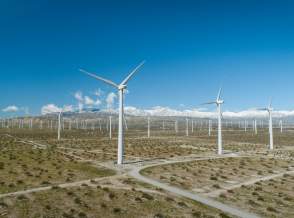 Palm Springs Windmill Tours: Get Up Close to the Wind Farm