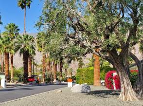 Explore Historic Deepwell Ranch Neighborhood: Self-Guided Bike Tour 🚴‍♂️