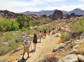 hiking in Indian Canyons Palm Springs