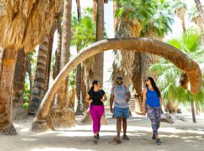 Ultimate Palm Springs Hiking Guide
