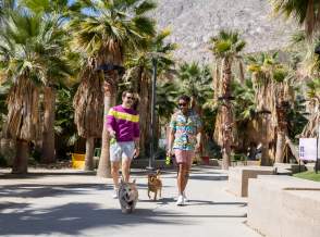 Two people walking a corgi dog on a palm-lined pathway on a bright sunny day.