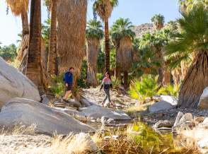Your Guide to Visiting Palm Springs in the Fall