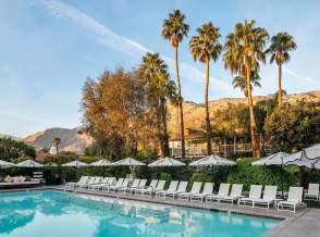 colony palms