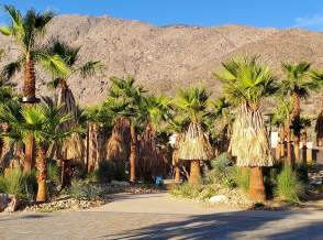 Free Things To Do in Palm Springs