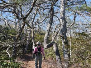 Chattooga Loop Trail