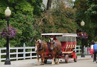 Horse drawn Tours