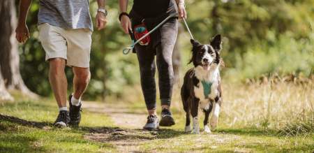 Couple walking dog on countryside path