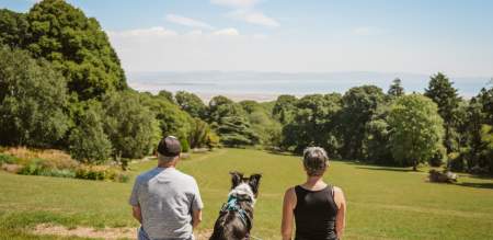 couple sitting on stone bench with their dog looking out over park