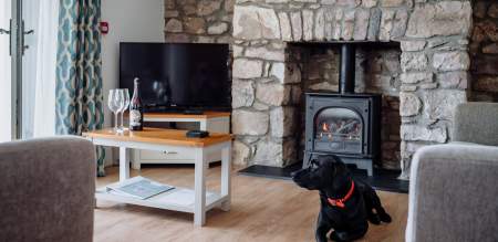 A dog by a log burner.