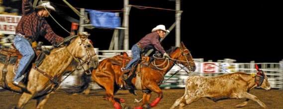 Rodeo