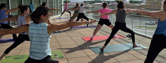 Art + Light + Yoga: Fall Sundown