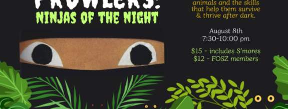 Prowlers: Ninjas of the Night