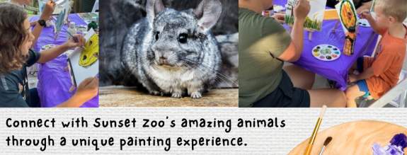 Painting with the Animals: Chinchillas