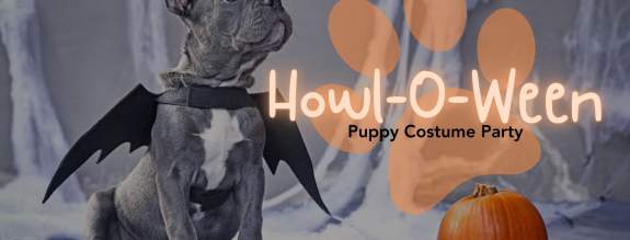 Howl-O-Ween: Puppy Costume Party