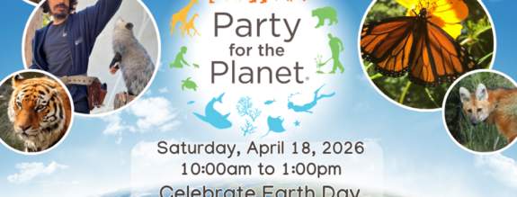 Party for the Planet