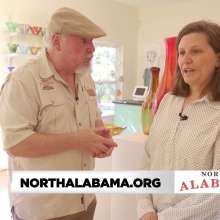 Hidden Gems of North Alabama.   Noccalula Falls and Orbix Hot Glass