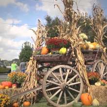 Cullman County