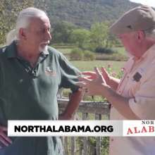 Hidden Gems of North Alabama- Tigers for Tomorrow and Wills Creek Winery
