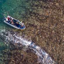 Aerial view of a Kimberley expedition cruise excursion to Montgomery Reef, showing the reef and crystal clear waters
