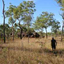 Mitchell Plateau