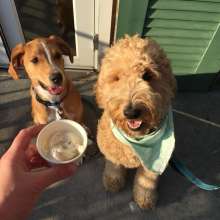 La Divina Pet Friendly