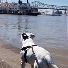 Ghost on the Baton Rouge Riverfront