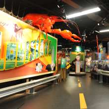 Exhibit at the Capitol Park Museum