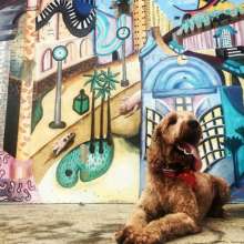 Downtown Baton Rouge Dog Friendly