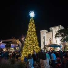 Festival of Lights