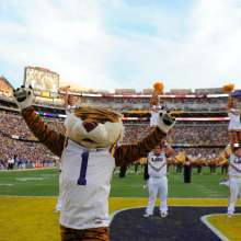 LSU Mascot & Cheerleaders