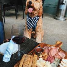 Charlie at Kstreet Grill