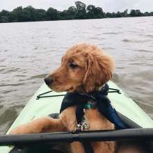 Asher at the LSU Lakes
