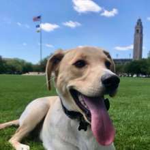 LSU Parade Ground Koda Square