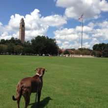 Gus at the LSU Parade Grounds