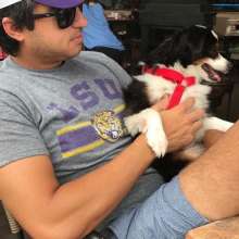 Bowser at Red Zeppelin Pizza Pet Friendly