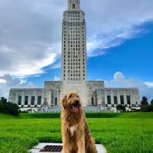 State Capitol Dog-Friendly