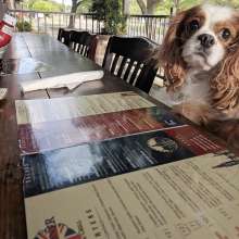The Londoner Dog Friendly