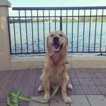Sully at the LSU Lakes