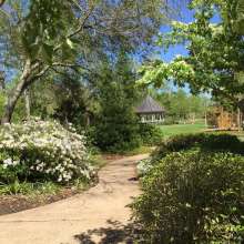 Beaumont Botanical Gardens Gazebo