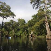 Neches River Rally Canoe Trip