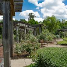 Gardens at Tyrrell Park