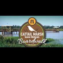 Beaumont Texas Cattail Marsh Scenic Wetlands and Boardwalk 2017