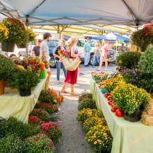 farmers market bloomington