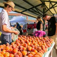 bloomington farmers market