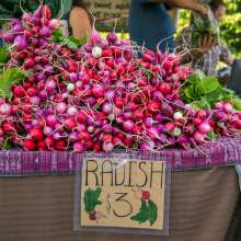 farmers market bloomington