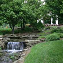 IU Arboretum